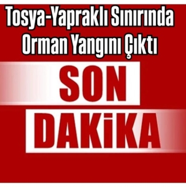 Tosya-Yapraklı Sınırında Orman Yangını Çıktı