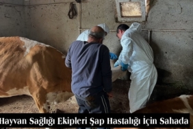 Hayvan Sağlığı Ekipleri Şap Hastalığı İçin Sahada