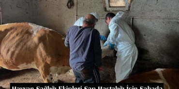 Hayvan Sağlığı Ekipleri Şap Hastalığı İçin Sahada