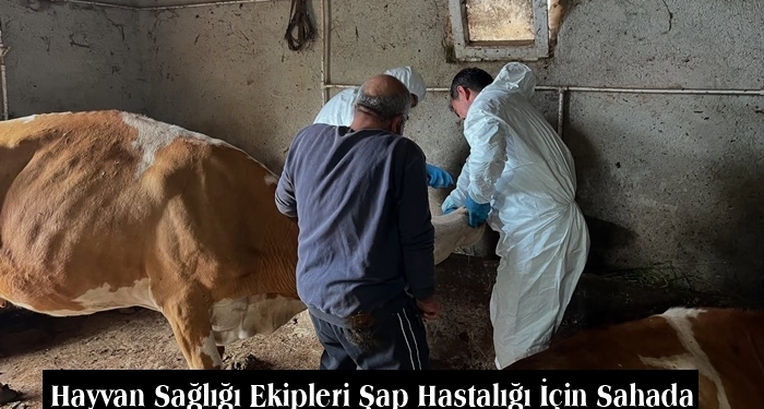 Hayvan Sağlığı Ekipleri Şap Hastalığı İçin Sahada