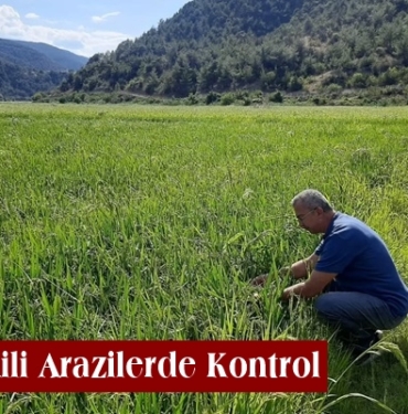 İlçe Tarım Orman Müdürlüğü’nden Çeltik Ekili Arazilerde Kontrol