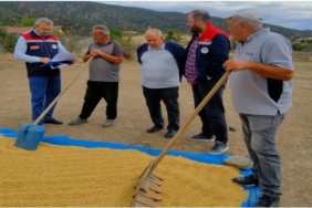 İlçe Tarım Müdürlüğü Ekipleri Çevlik Köyü’nü Ziyaret Etti
