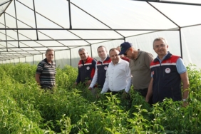 Tarım Müdürlüğü Ekipleri Tosya’da Yatırım Projelerini inceledi