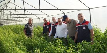 Tarım Müdürlüğü Ekipleri Tosya’da Yatırım Projelerini inceledi