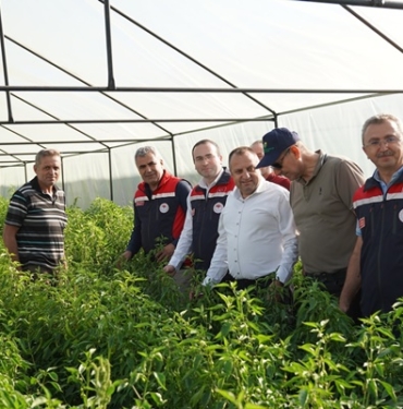 Tarım Müdürlüğü Ekipleri Tosya’da Yatırım Projelerini inceledi