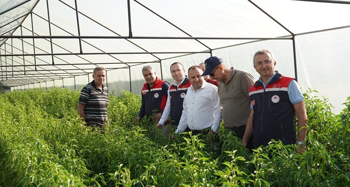 Tarım Müdürlüğü Ekipleri Tosya’da Yatırım Projelerini inceledi