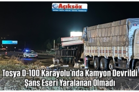 Tosya D-100 Karayolu’nda Kamyon Devrildi: Şans Eseri Yaralanan Olmadı