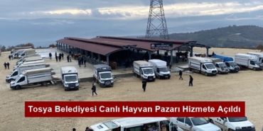 Tosya Belediyesi Canlı Hayvan Pazarı Hizmete Açıldı
