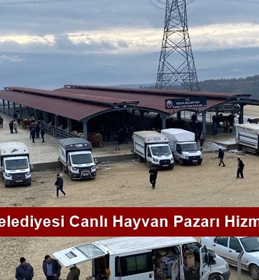 Tosya Belediyesi Canlı Hayvan Pazarı Hizmete Açıldı