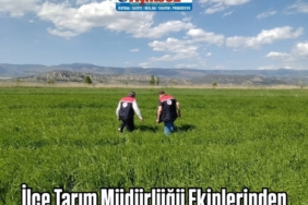 İlçe Tarım Müdürlüğü Ekiplerinden  Saha İncelemelerine Devam