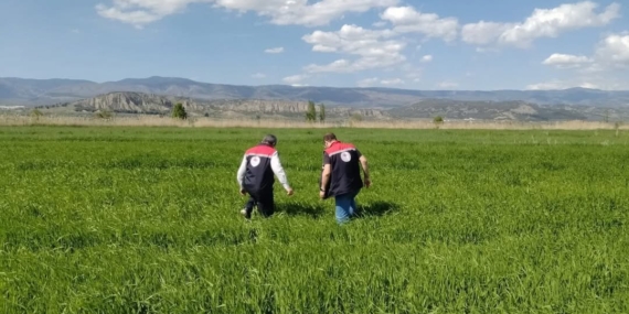 İlçe Tarım Müdürlüğü Ekiplerinden  Saha İncelemelerine Devam