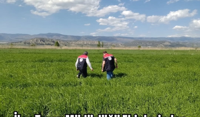 İlçe Tarım Müdürlüğü Ekiplerinden  Saha İncelemelerine Devam