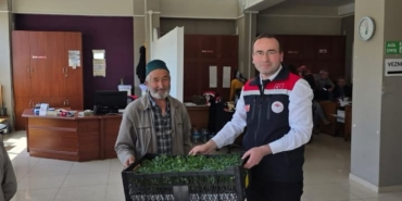 Tosyalı Çiftçilere 51 Bin Adet Fide Dağıtıldı