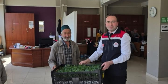 Tosyalı Çiftçilere 51 Bin Adet Fide Dağıtıldı