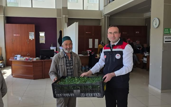 Tosyalı Çiftçilere 51 Bin Adet Fide Dağıtıldı