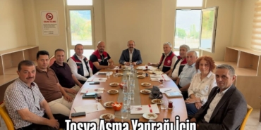 Tosya Asma Yaprağı İçin Coğrafi İşaret Süreci Başladı!