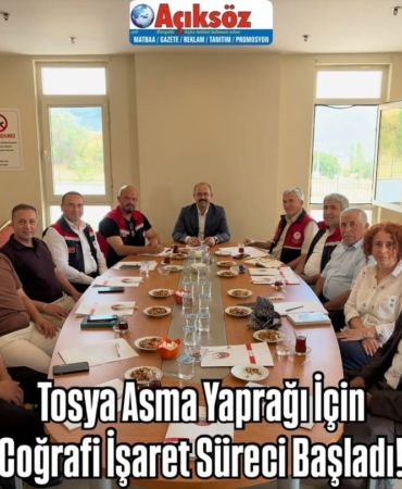 Tosya Asma Yaprağı İçin Coğrafi İşaret Süreci Başladı!