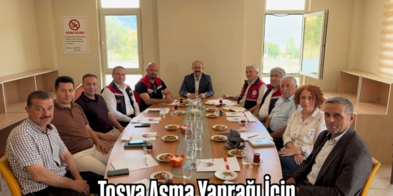 Tosya Asma Yaprağı İçin Coğrafi İşaret Süreci Başladı!