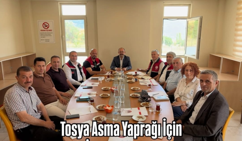 Tosya Asma Yaprağı İçin Coğrafi İşaret Süreci Başladı!