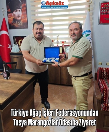 Türkiye Ağaç İşleri Federasyonundan Tosya Marangozlar Odasına Ziyaret