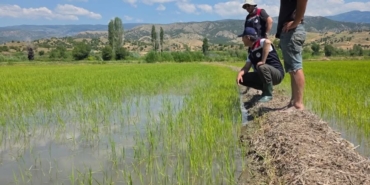 Tarım Orman Müdürlüğü Ekipleri Ekili Alanda Saha Denetiminde