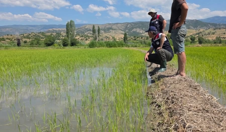 Tarım Orman Müdürlüğü Ekipleri Ekili Alanda Saha Denetiminde