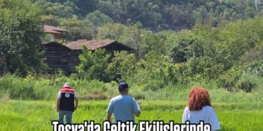 Tosya’da Çeltik Ekilişlerinde Referans Parsel Kontrolleri Yapıldı