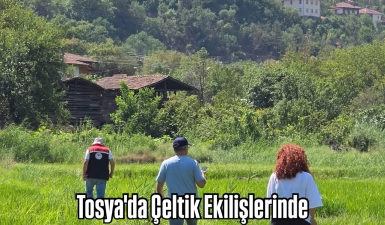 Tosya’da Çeltik Ekilişlerinde Referans Parsel Kontrolleri Yapıldı