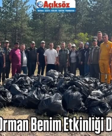 Tosya’da Orman Benim Etkinliği Düzenlendi