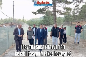 Tosya’da Sokak Hayvanları Rehabilitasyon Merkezine Ziyaret