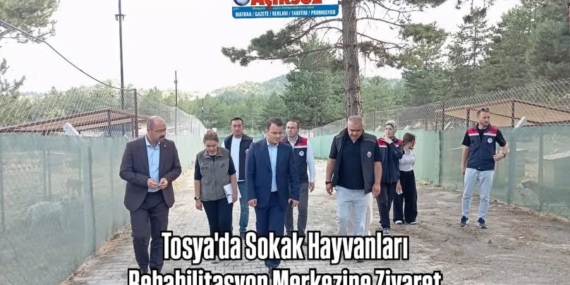 Tosya’da Sokak Hayvanları Rehabilitasyon Merkezine Ziyaret